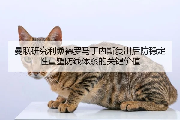 曼联研究利桑德罗马丁内斯复出后防稳定性重塑防线体系的关键价值