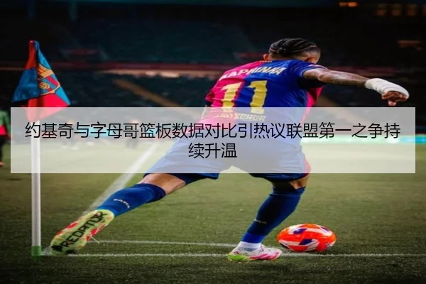 约基奇与字母哥篮板数据对比引热议联盟第一之争持续升温